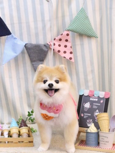 20250531モコくん